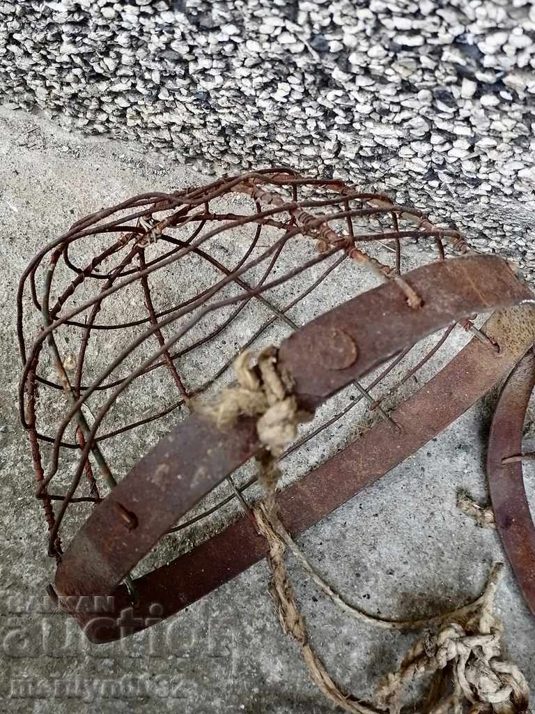 Old calf muzzle 2 pieces of primitive wrought iron - 6