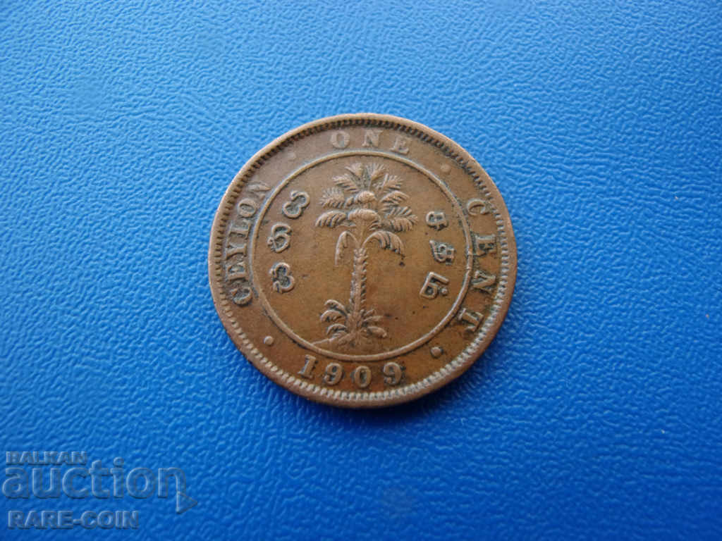 X (9) Ceylon 1 Cent 1909 Rare