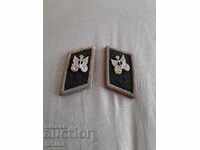 Bătrânul Wenzel, Wenzel