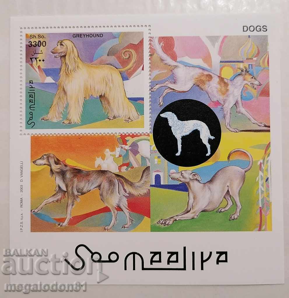 Somalia - rase de câini, câini