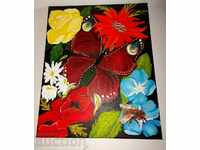 PAINTED PICTURE PANEL STILL LIFE ACRYLIC PAINTS