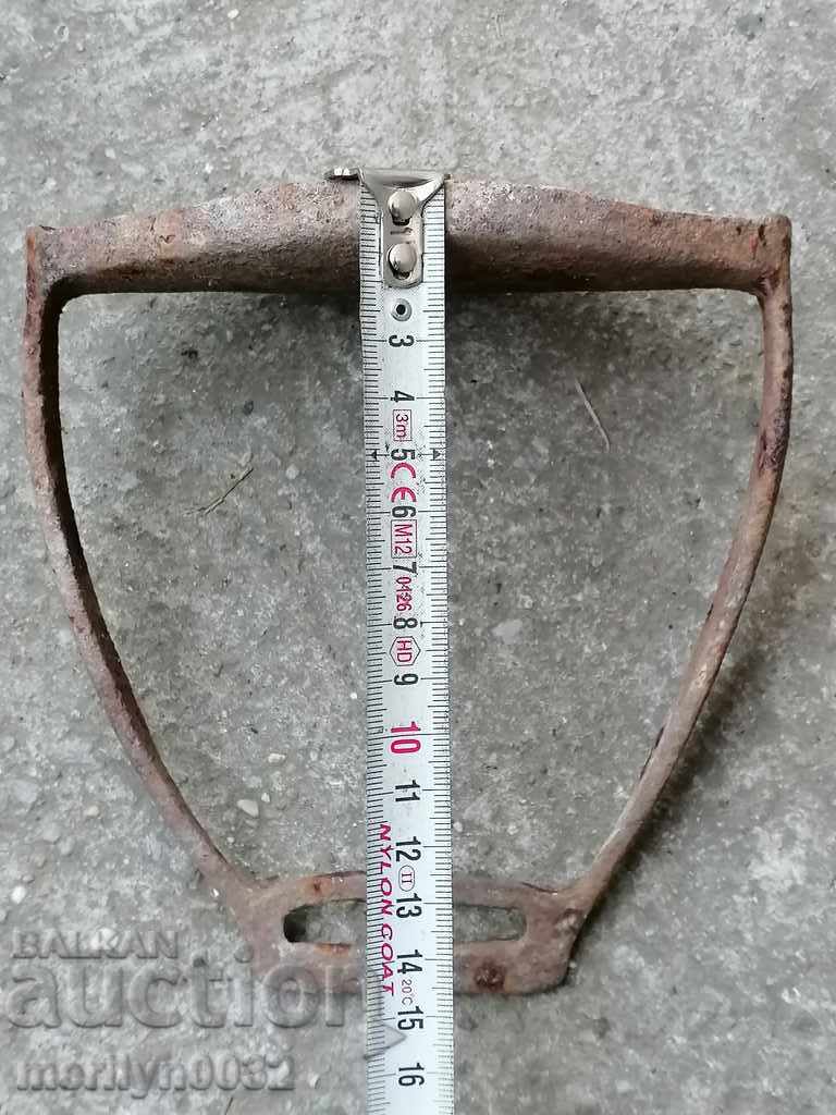 Delivery of Strive for a cavalry horse Delivery of Strive for a cavalry horse