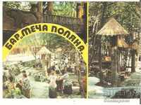Card Bulgaria Varna Nisipurile Aurii Mecha Bar Polyana 1 *
