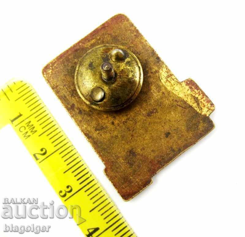 Livrarea Insigna turistica-Turist NRB-Vint-Email-Soc