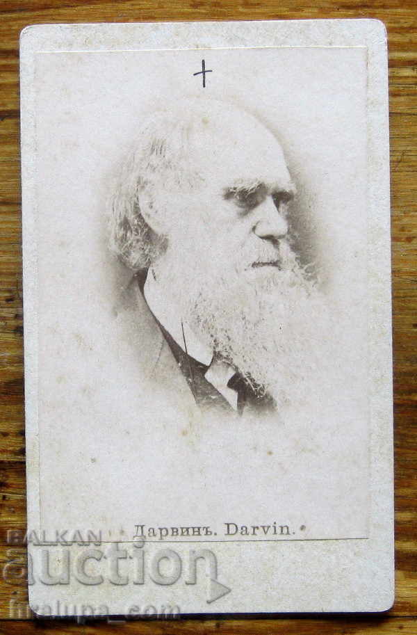 Стара снимка фотография портрет картон Чарлз Дарвин 19 век