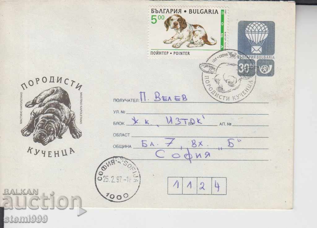Първодневен пощенски плик Породисти кученца