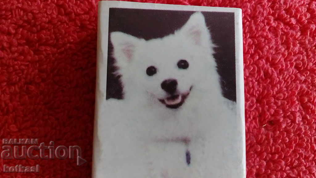 Παλιά σπίρτα Ζώα Σκύλος με τιμή 5.50 BGN | € 2.81