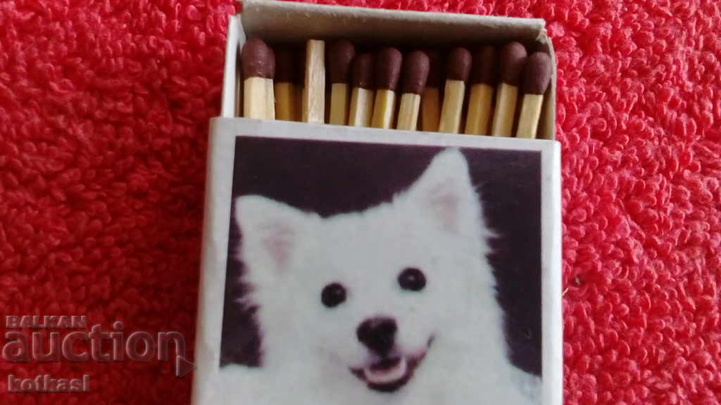 Δημοπρασία Παλιά σπίρτα Ζώα Σκύλος