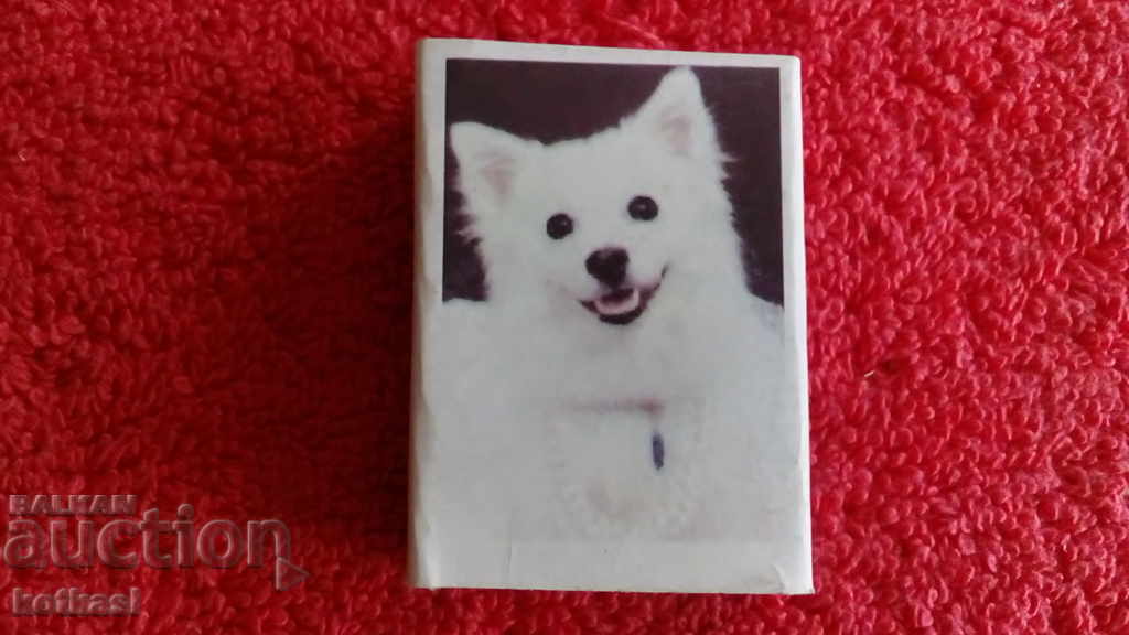 Παλιά σπίρτα Ζώα Σκύλος