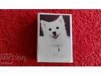 Chibrit vechi Animale Câine