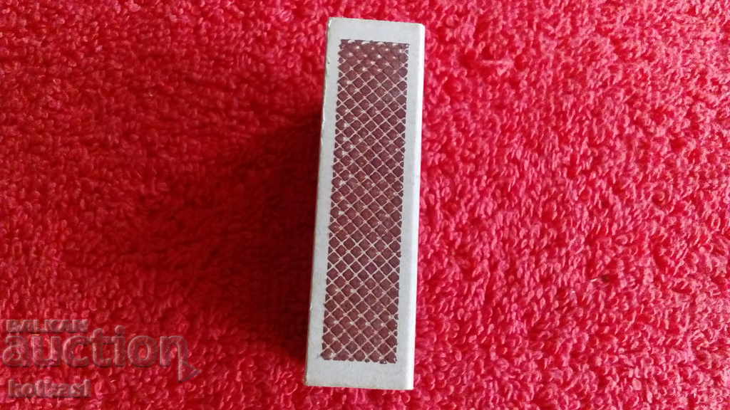 Delivery of Lion Match Delivery of Lion Match