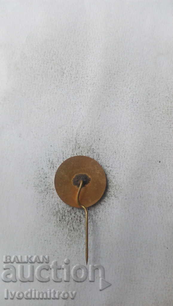 Badge XV World Congress of Philosophy Varna 1973 with price 2.65 BGN | € 1.35 Badge XV World Congress of Philosophy Varna 1973 with price 2.65 BGN | € 1.35