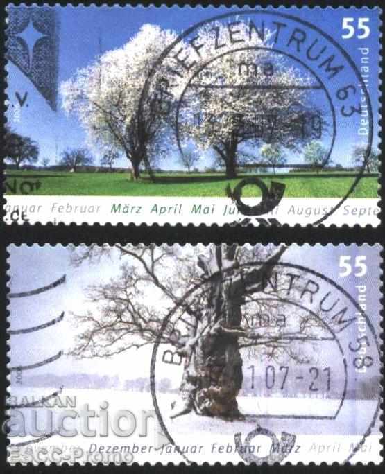 Branded Trees Trees Seasons Winter Spring 2006 from Germany