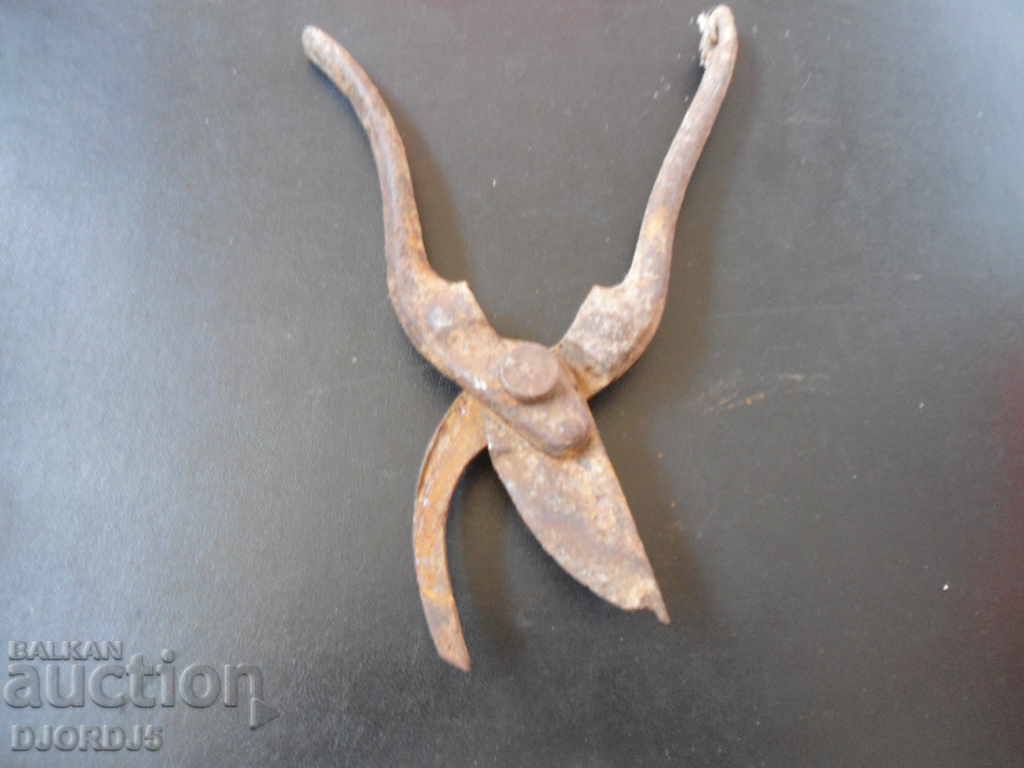 Old scissors - 5 Old scissors - 5