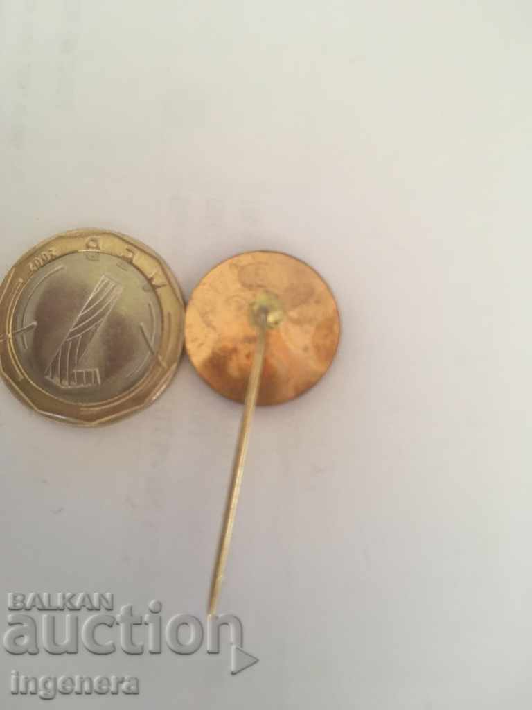 Auction SIZE Auction SIZE