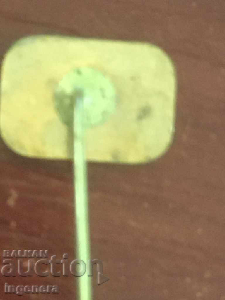 Auction SIZE Auction SIZE