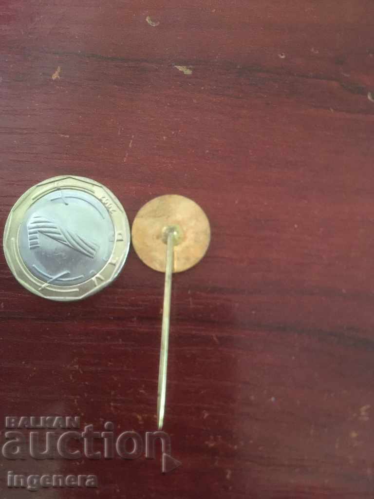 Auction SIZE Auction SIZE