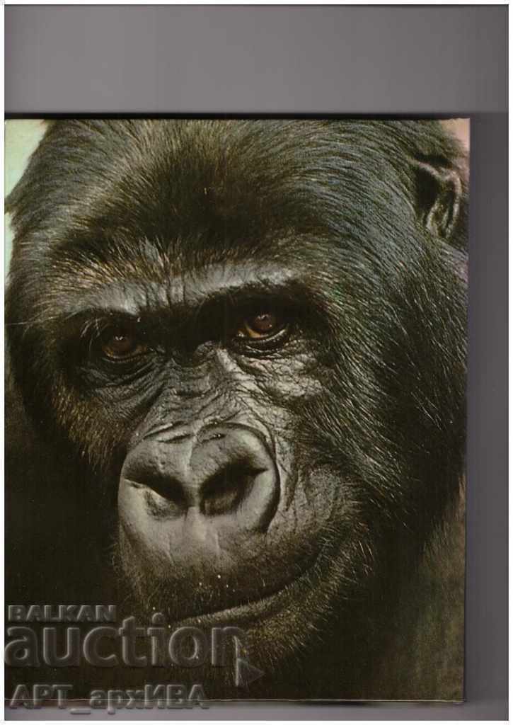 Sind Tiere anders? BERTELSMANN LEXIKON VERLAG/in German/ with price 14.50 BGN | € 7.41 Sind Tiere anders? BERTELSMANN LEXIKON VERLAG/in German/ with price 14.50 BGN | € 7.41