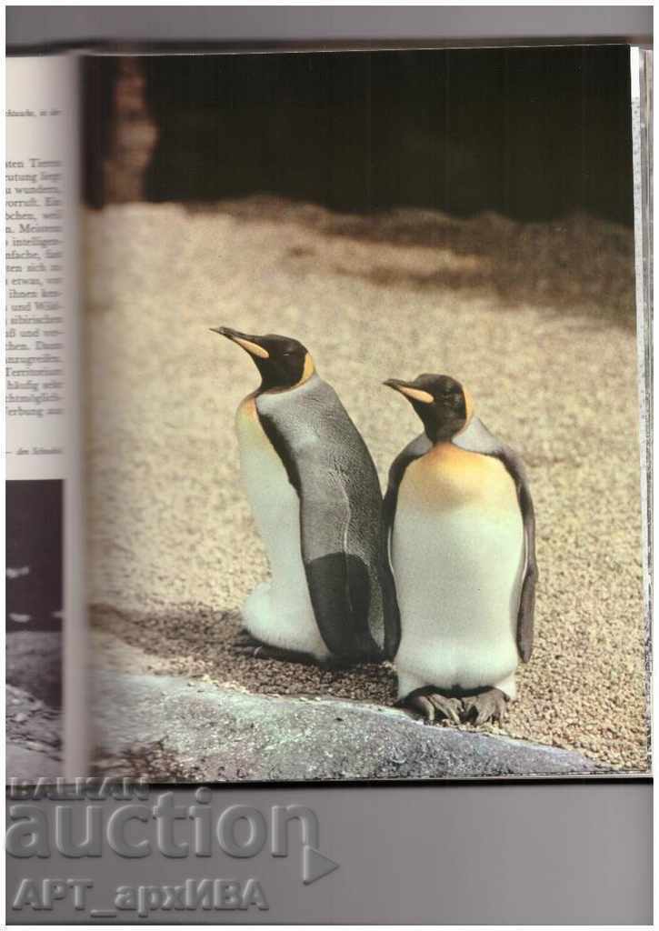 Auction Sind Tiere anders? BERTELSMANN LEXIKON VERLAG/in German/ Auction Sind Tiere anders? BERTELSMANN LEXIKON VERLAG/in German/