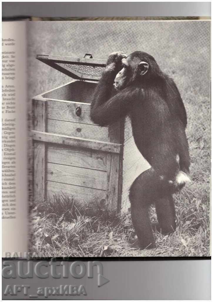 Delivery of Sind Tiere anders? BERTELSMANN LEXIKON VERLAG/in German/ Delivery of Sind Tiere anders? BERTELSMANN LEXIKON VERLAG/in German/