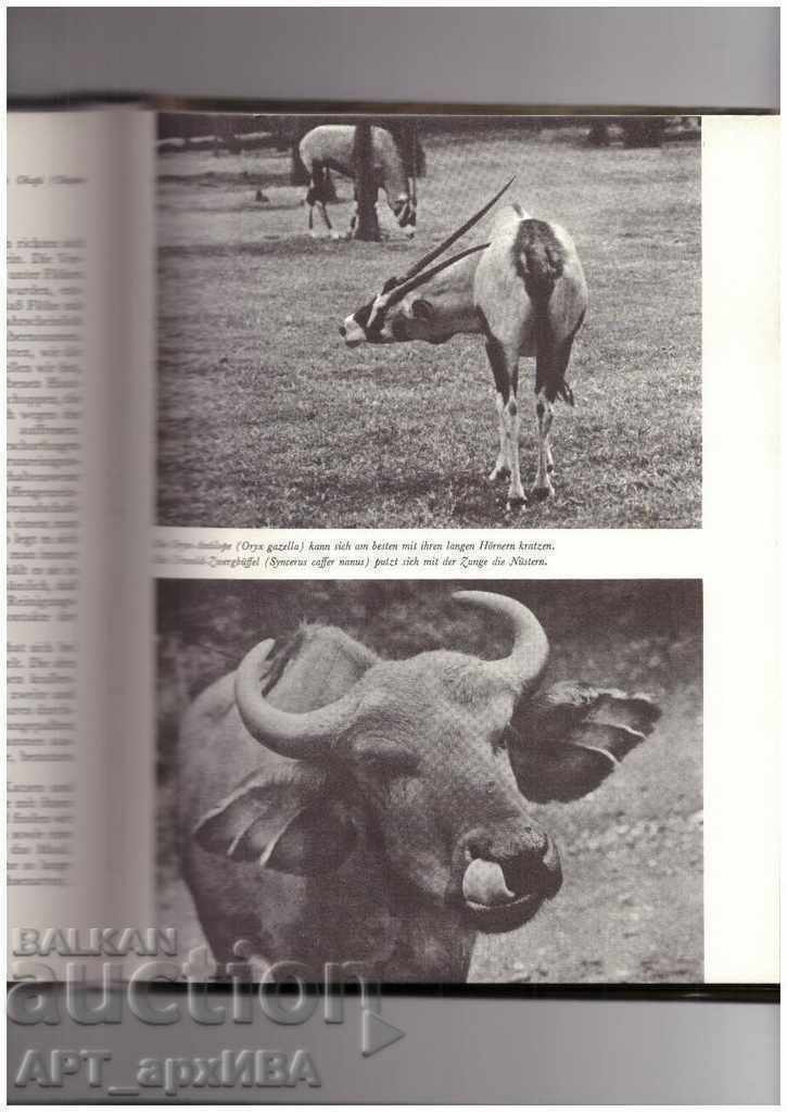 Sind Tiere anders? BERTELSMANN LEXIKON VERLAG/in German/ - 6 Sind Tiere anders? BERTELSMANN LEXIKON VERLAG/in German/ - 6