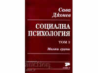 Psihologie socială. Volumul 3. Grupuri mici