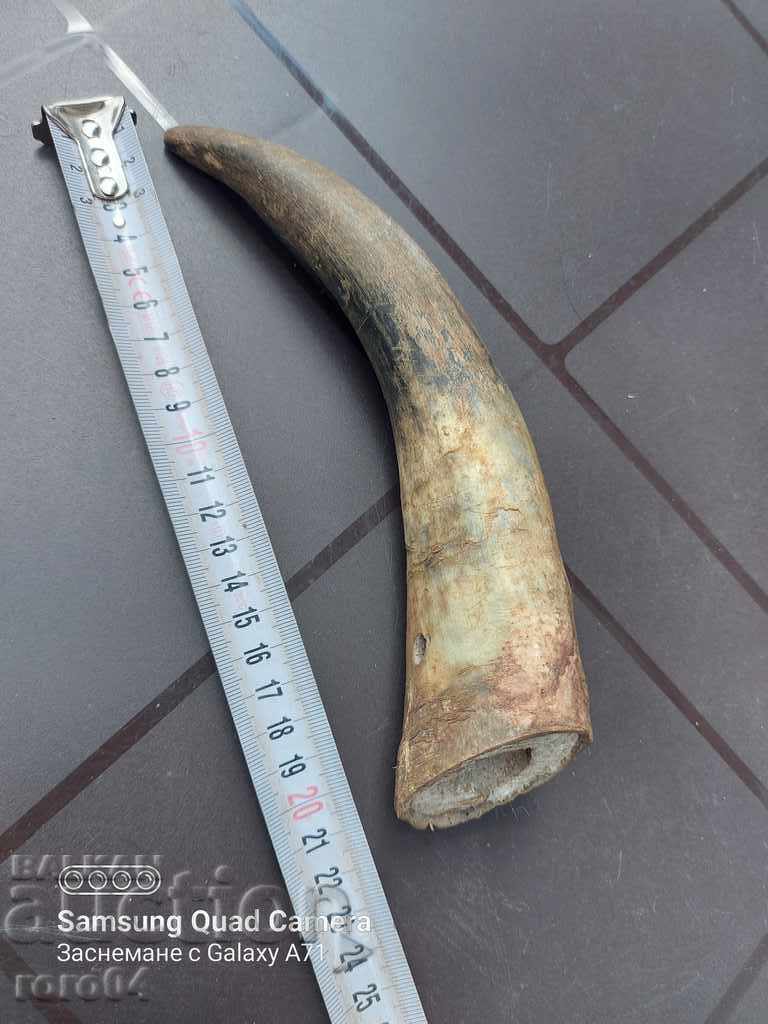 GOR cu preț 19.99 BGN | € 10.22 GOR cu preț 19.99 BGN | € 10.22