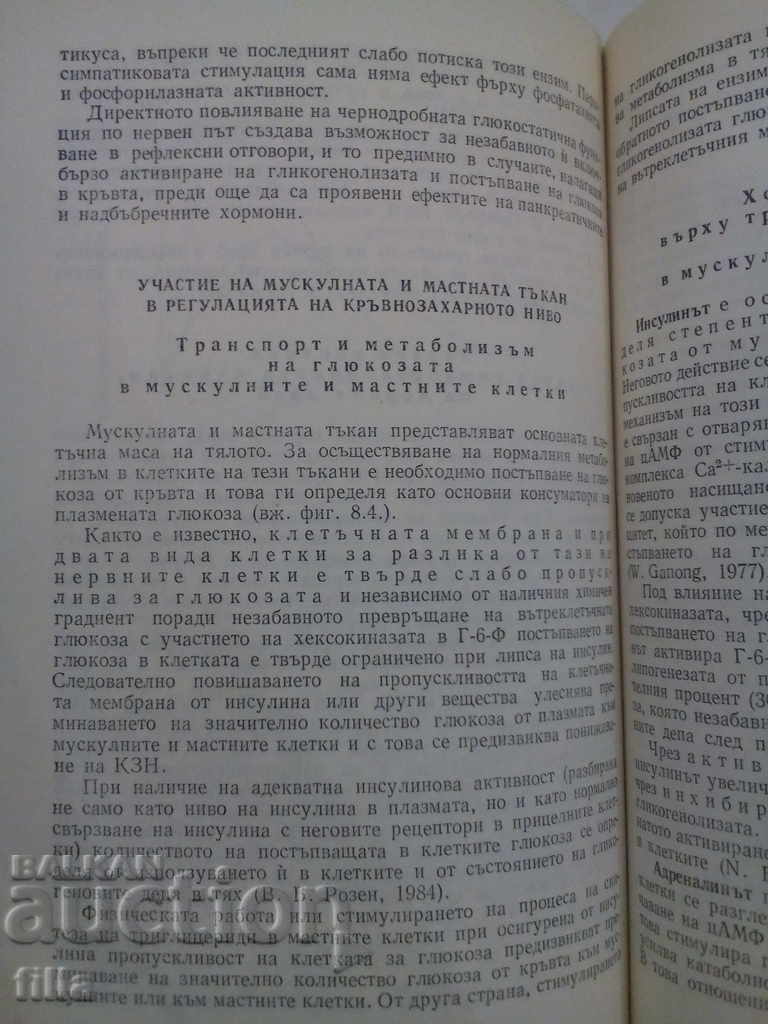 Δημοπρασία Ιατρική, Φυσιολογική ρύθμιση βασικών διαδικασιών ζωής Δημοπρασία Ιατρική, Φυσιολογική ρύθμιση βασικών διαδικασιών ζωής