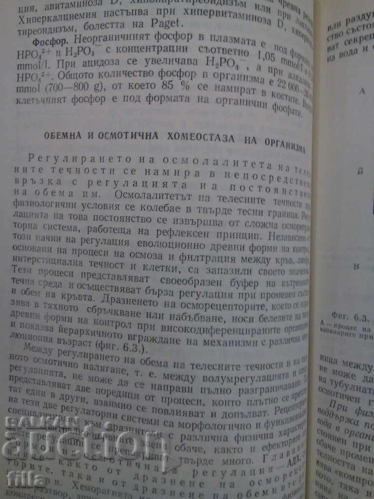 Παράδοση Ιατρική, Φυσιολογική ρύθμιση βασικών διαδικασιών ζωής Παράδοση Ιατρική, Φυσιολογική ρύθμιση βασικών διαδικασιών ζωής