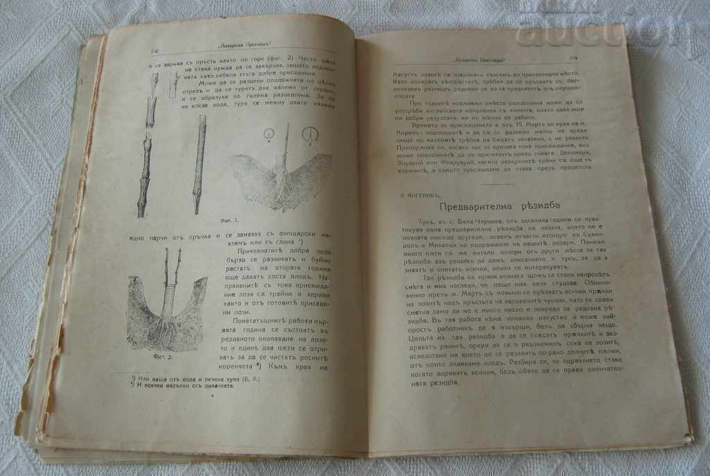 MAGAZINE "VINEYARD INSPECTION" № 3-4 1924 SOFIA - 5 MAGAZINE "VINEYARD INSPECTION" № 3-4 1924 SOFIA - 5