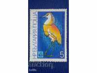 BULGARIA 1981 - FAUNA, SWAMP BIRDS