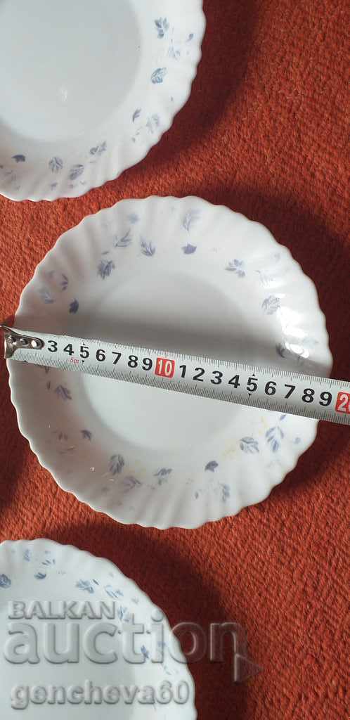 Σέρβις όμορφες πλάκες arcopal - 5 Σέρβις όμορφες πλάκες arcopal - 5
