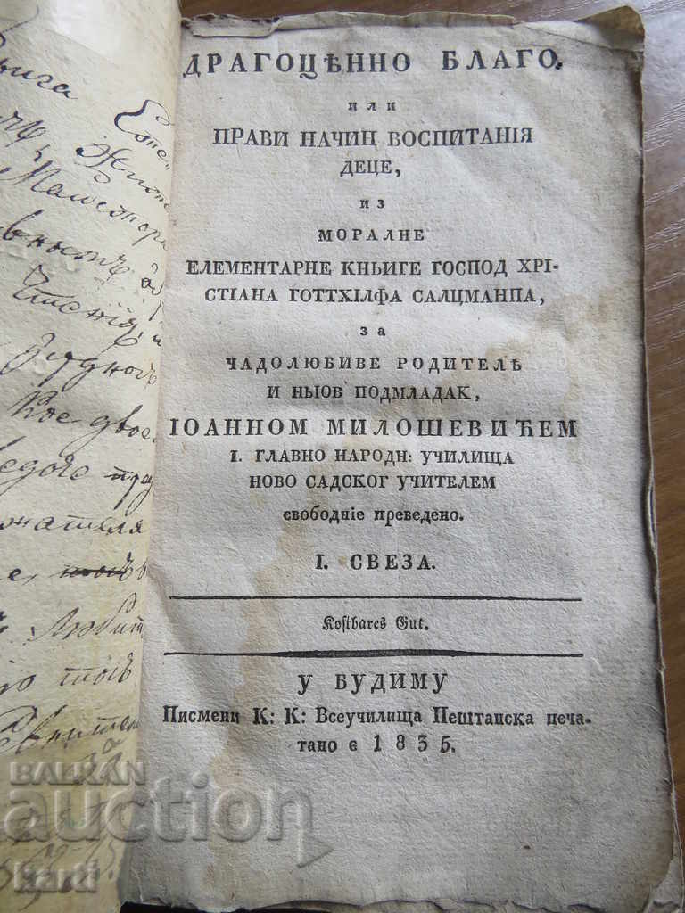 1835 - COMOARE PRETIOASA - TIPIRU VECHI