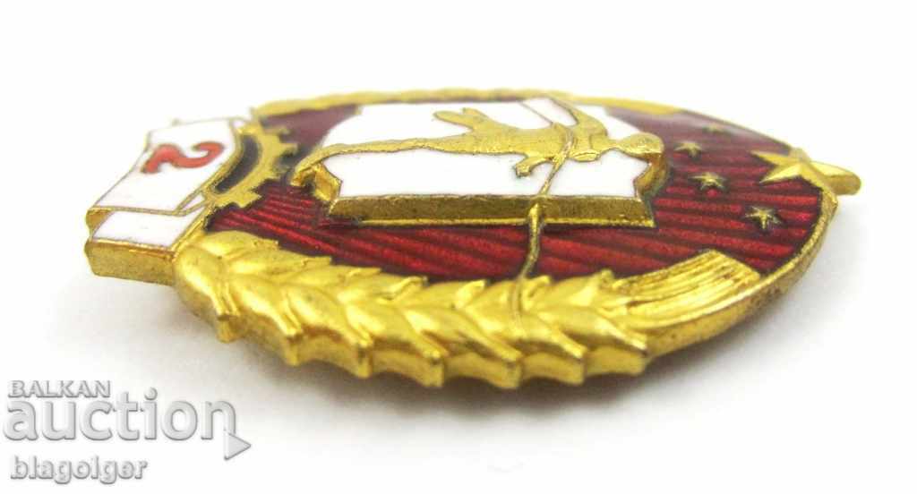 OLD CHINESE BADGE-AWARDED SPORTS BADGE-ENAMEL-TOP - 5