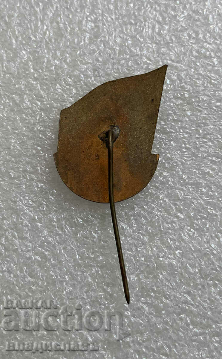 old and rare badge 75 years Ž.P.Z. G. Dimitrov Sofia with price 45.00 BGN | € 23.01