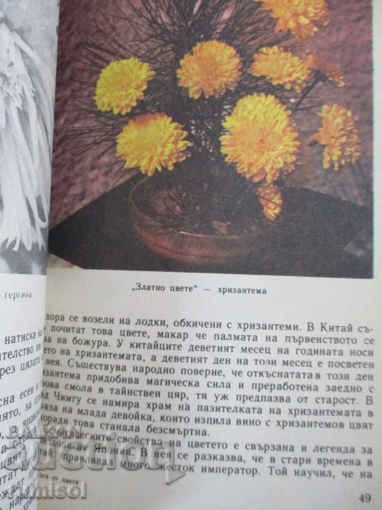 Доставка на Дъга от цветя - Евгения Черней, Леонила Ширева Доставка на Дъга от цветя - Евгения Черней, Леонила Ширева
