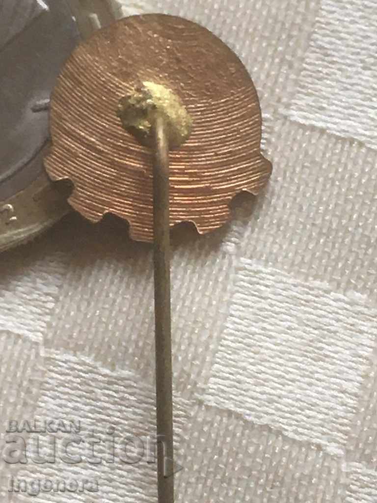 Auction SIZE Auction SIZE