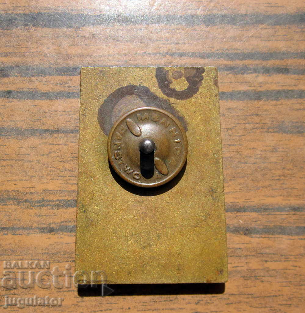 big old Polish military badge Polish military badge on a screw - 5