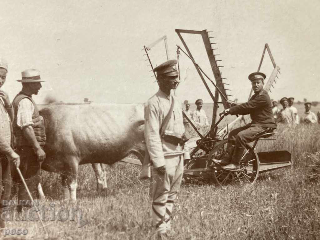 Harvest Military help the field First World War with price 40.00 BGN | € 20.45 Harvest Military help the field First World War with price 40.00 BGN | € 20.45