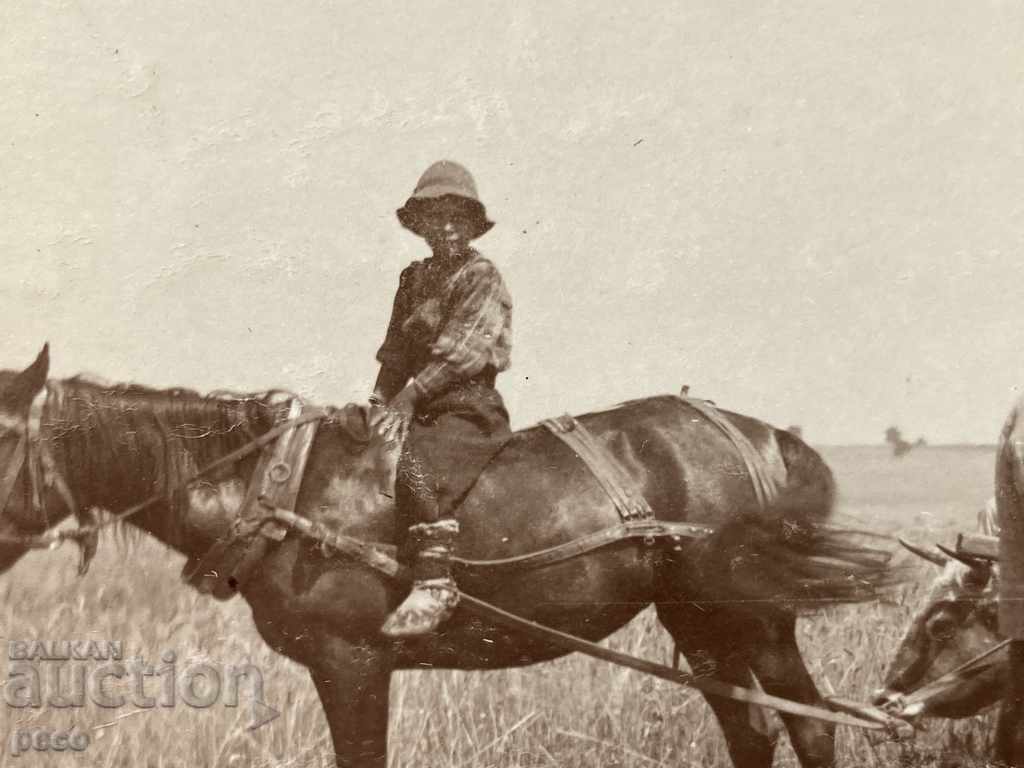 Auction Harvest Military help the field First World War Auction Harvest Military help the field First World War