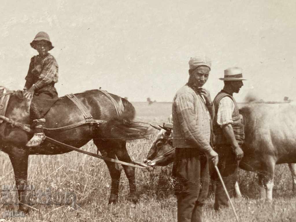 Delivery of Harvest Military help the field First World War Delivery of Harvest Military help the field First World War