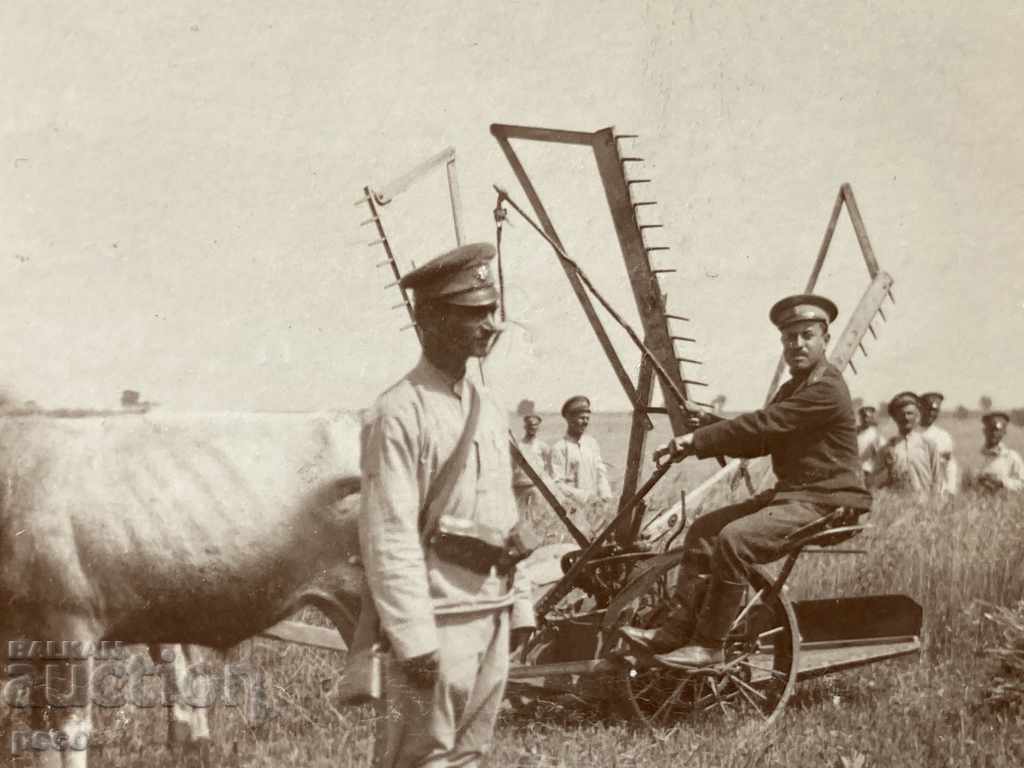 Harvest Military help the field First World War - 5 Harvest Military help the field First World War - 5