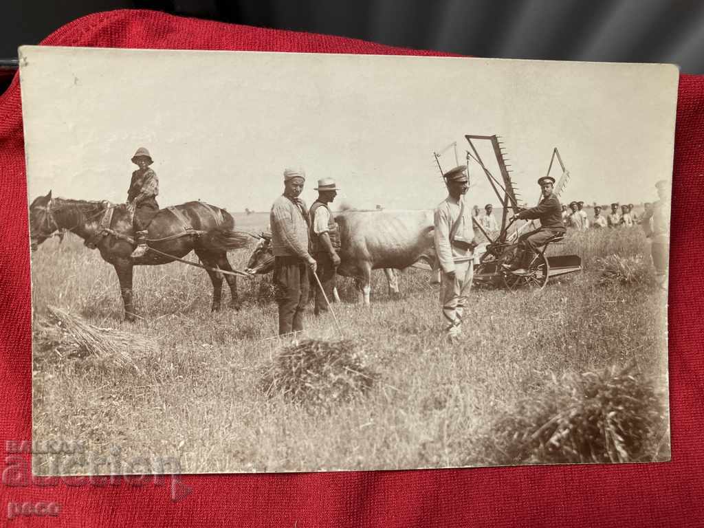 Harvest Military help the field First World War - 6 Harvest Military help the field First World War - 6