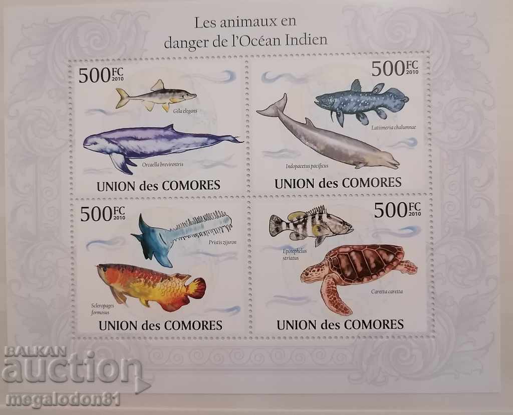 Комори - океанска фауна