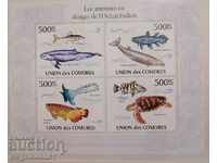 Comoros - ocean fauna
