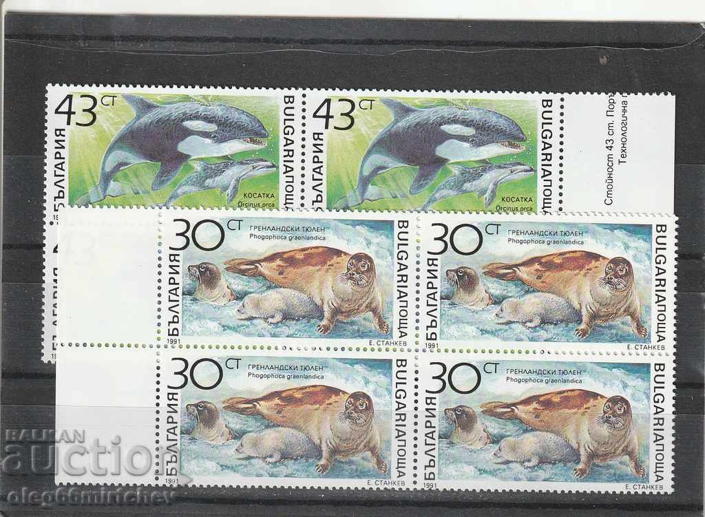 Bulgaria 1991 Mamifere marine BC Б3975 / 80 pur - KARE cu preț 2.80 BGN | € 1.43 Bulgaria 1991 Mamifere marine BC Б3975 / 80 pur - KARE cu preț 2.80 BGN | € 1.43