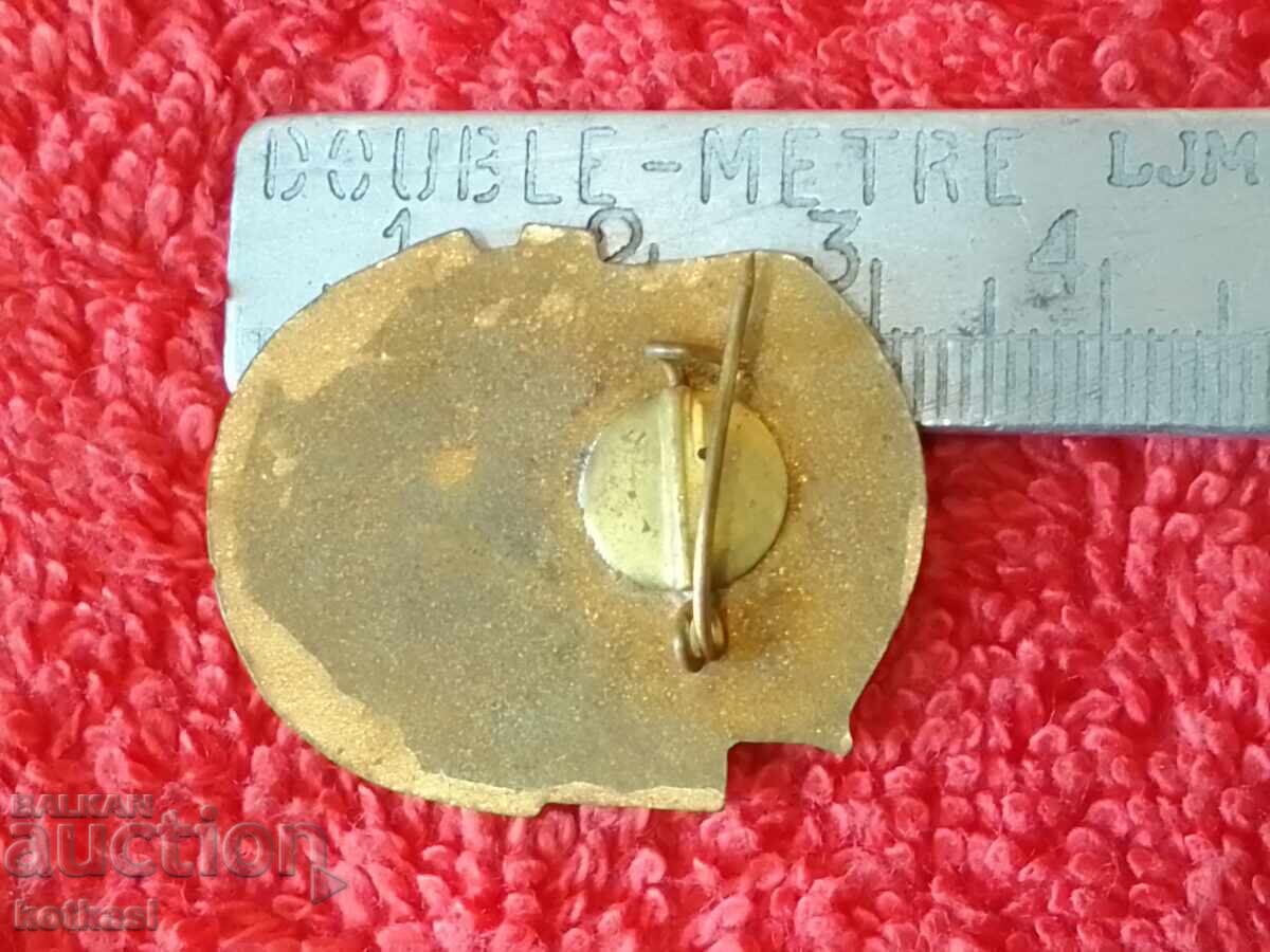 Old social badge email FOR ACTIVE UNION WORK with price 15.50 BGN | € 7.93 Old social badge email FOR ACTIVE UNION WORK with price 15.50 BGN | € 7.93