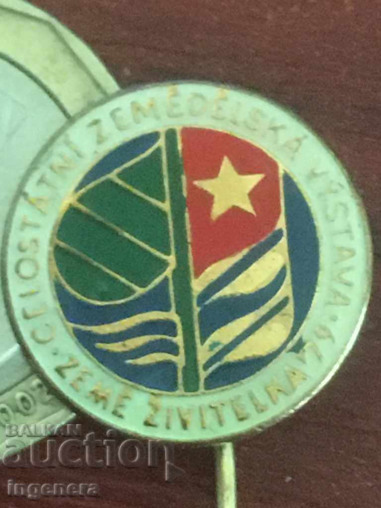 Auction SIZE Auction SIZE