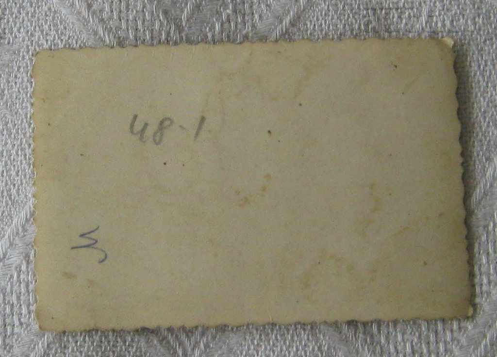 Delivery of STALIN SPORTS FESTIVAL SOVIET CULTURE PHOTO 1950 Delivery of STALIN SPORTS FESTIVAL SOVIET CULTURE PHOTO 1950