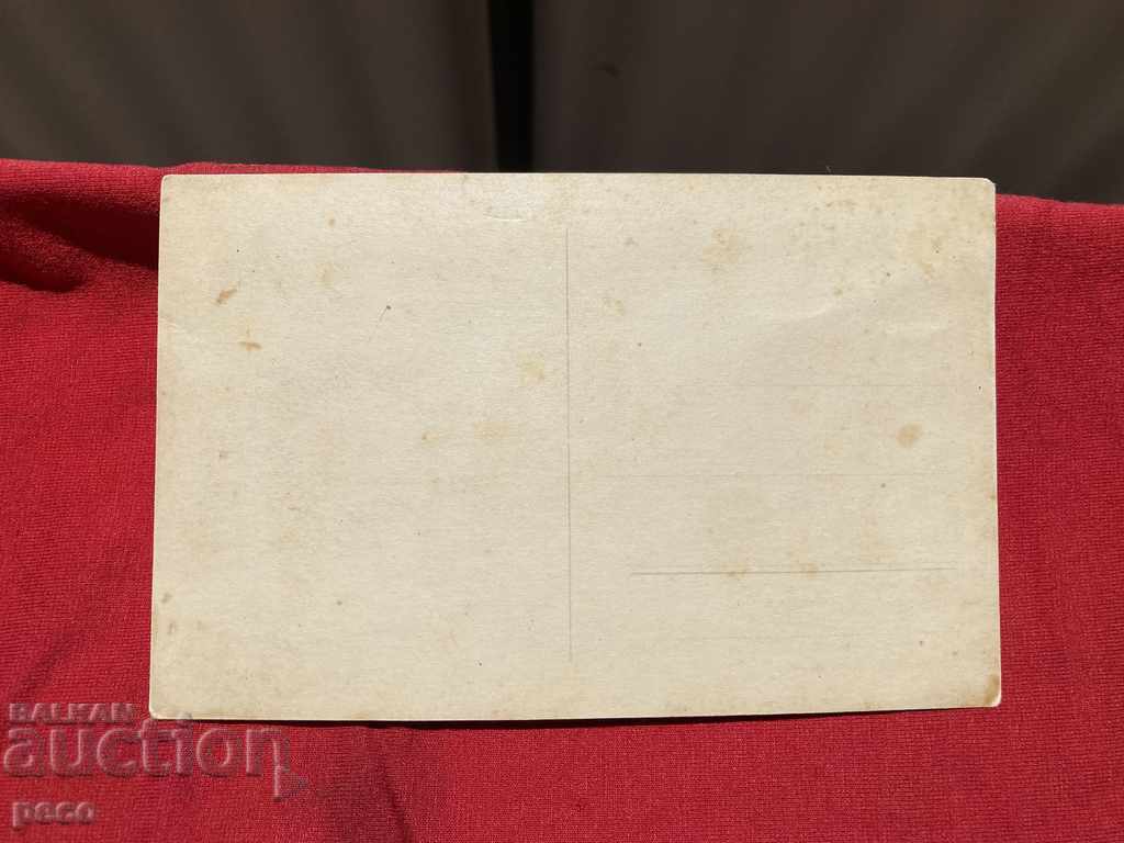 Masters of Carts Military Front First World War - 7 Masters of Carts Military Front First World War - 7